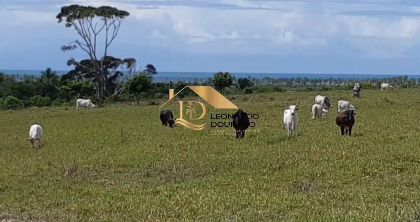 Fazenda à venda na Mogiquiçaba, Mogiquiçaba, Santa Cruz Cabrália