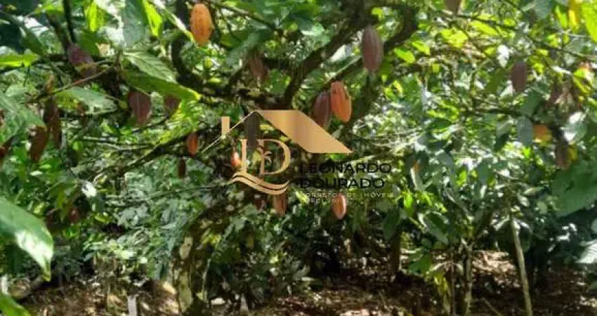 Fazenda à venda na Ilhéus, Centro, Ilhéus
