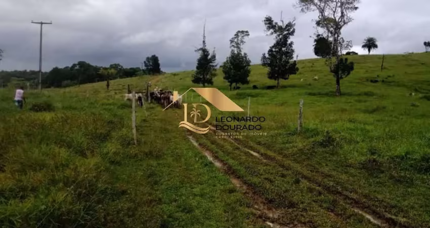 Fazenda à venda na Ilhéus, Centro, Ilhéus