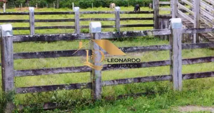 Fazenda com 2 salas à venda na BOCA DO CÓRREGO, Santa Maria Eterna, Belmonte