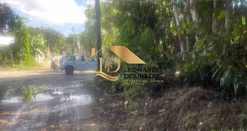 Oportunidade imperdível: terreno de 285m² à venda em coroa vermelha, santa cruz cabrália-ba! excelente lote bem localizado em rua calma, arborizado.