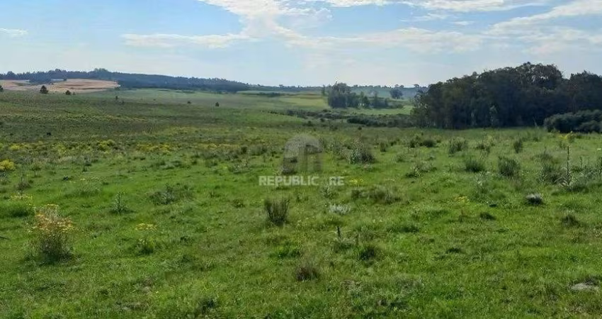 Área Rural de 60.000,00 m² por R$ 260.000,00 na Localidade do Cerro do Chapéu- S
