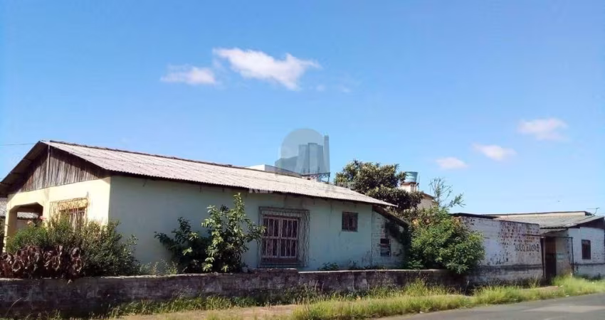 Terreno para Venda - 0m², 0 dormitórios, Vila Regina