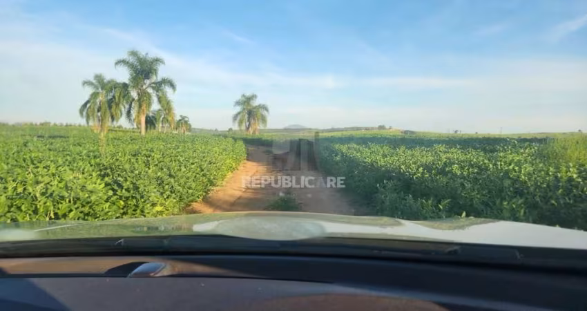 Fazenda apenas 50 quilômetros de PORTO ALEGRE