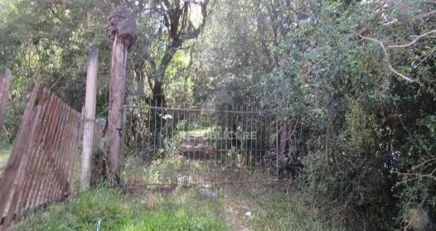 Área 53851,44 m²  no Beco da Paixão Bairro Lomba do Pinheiro