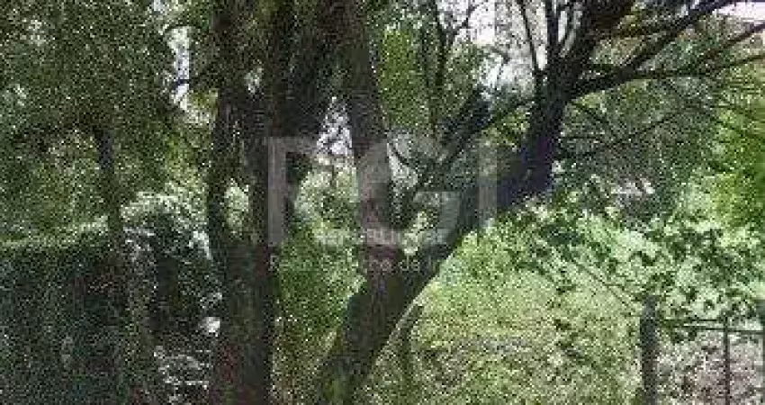 Terreno à venda na Avenida Engenheiro Alfredo Correa Daudt, 335, Boa Vista, Porto Alegre