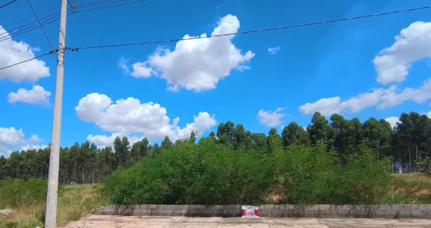 Terreno Comercial Oportunidade - Aceita Permuta Zona Sul
