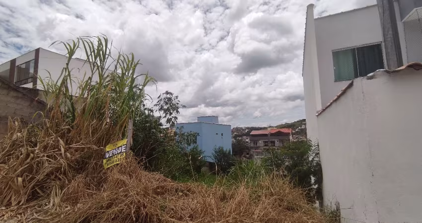 Excelente lote 300 m² com projeto aprovado no bairro Santa Isabel - Juiz de Fora - MG