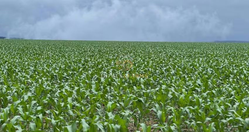 FAZENDA A VENDA EM NOBRES-MT