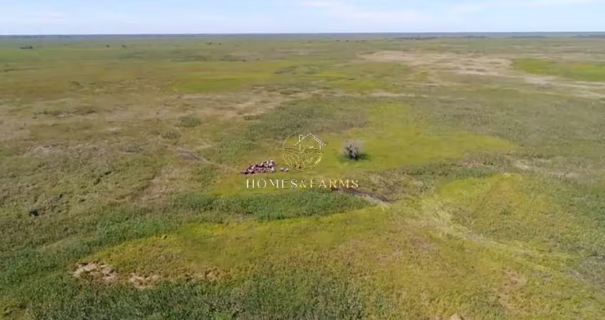 Fazenda com 2 salas à venda na Centro, 1234, Zona Rural, Poconé
