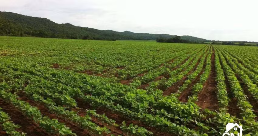 Fazenda com 2 salas à venda na Avenida principal, 1426, Centro, Nobres
