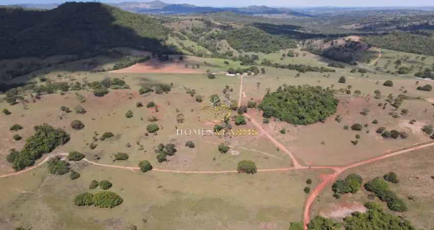 Fazenda com 2 salas à venda na Centro, S/N, Zona Rural, Morro Agudo de Goiás