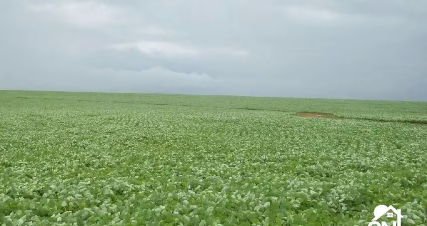 Fazenda com 2 salas à venda na Av Principal, SN, Zona Rural, Santana do Araguaia