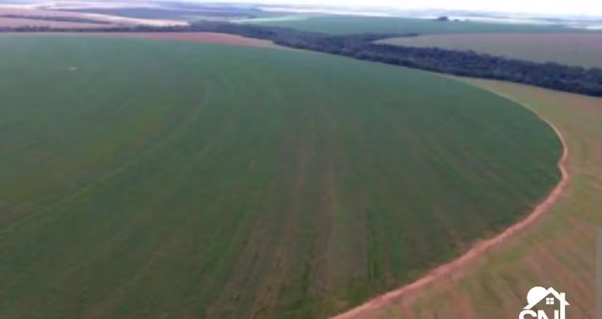 Fazenda a venda município: entre paredão e primavera -  mt