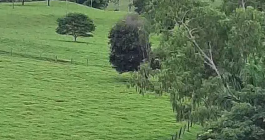 Fazenda 2.105,40 hectares (435 alqueires) a 220 km de goiânia é próximo a rio verde.
