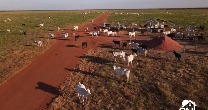 Fazenda 33 mil há na região de porto alegre do norte mt