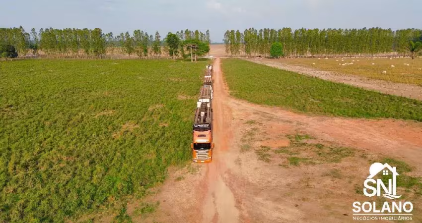 Fazenda com 2 salas à venda na Rua Bernal do Couto, SN, Umarizal, Belém