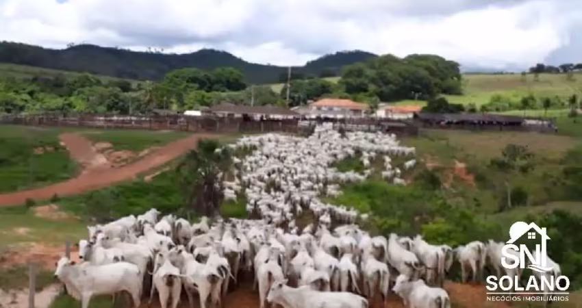 Fazenda com 2 salas à venda na AVENIDA PRINCIPAL, SN, Zona Rural, Caiapônia