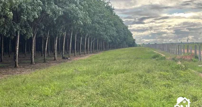 Fazenda com 2 salas à venda na Rua Dezenove de Novembro, SNN, Área Rural de Araguaína, Araguaína