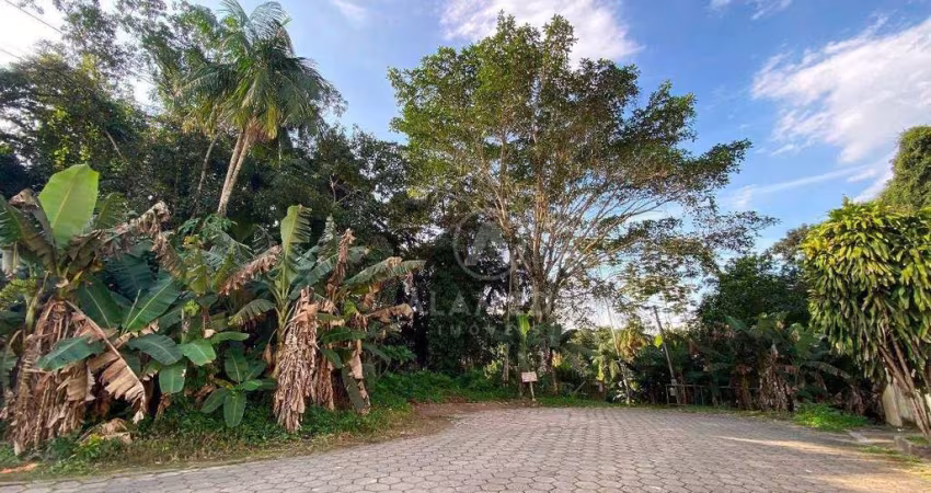 Terreno à venda, 553 m² por R$ 330.000,01 - Fortaleza - Blumenau/SC