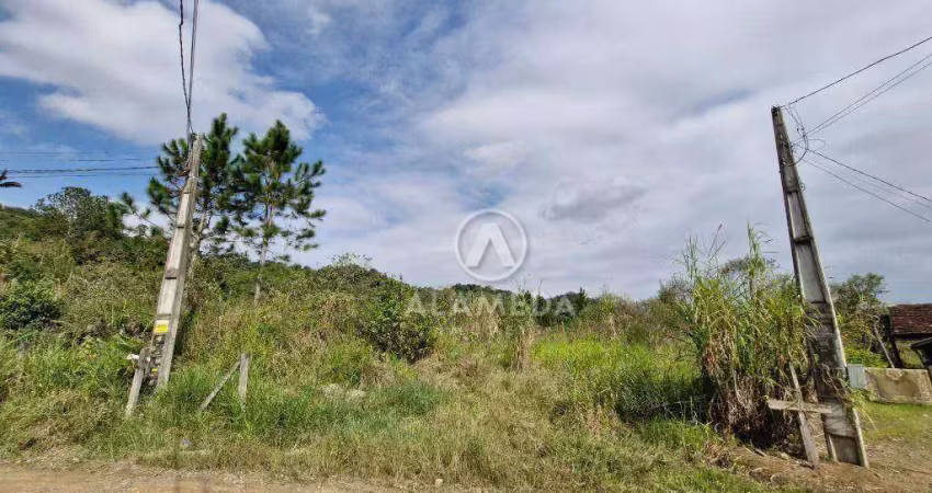 Terreno à venda, 6287 m² por r$ 3.420.000,00 - fidélis - blumenau/sc