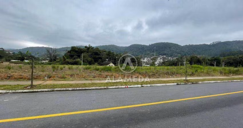 Terreno à venda, 264 m² por R$ 250.000,01 - Velha - Blumenau/SC