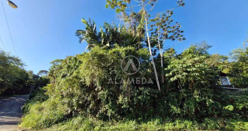 Terreno à venda, 820 m² por r$ 550.000,00 - fidélis - blumenau/sc