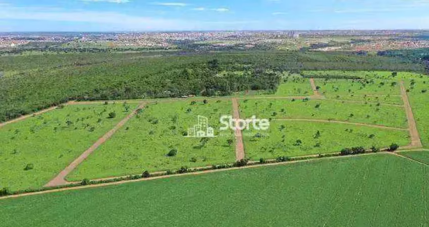 Excelentes terrenos em condomínio fechado à venda, 5.000m² de r$ 1.800.000 - bom jardim - uberlândia/mg