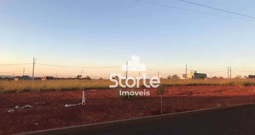 Terreno à venda, 250 m² por r$ 200.000,00 - portal do vale - uberlândia/mg