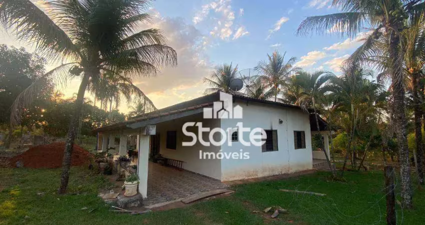 Chácara com 4 dormitórios à venda, 12.000 m² por r$ 980.000 - jockey camping - uberlândia/mg