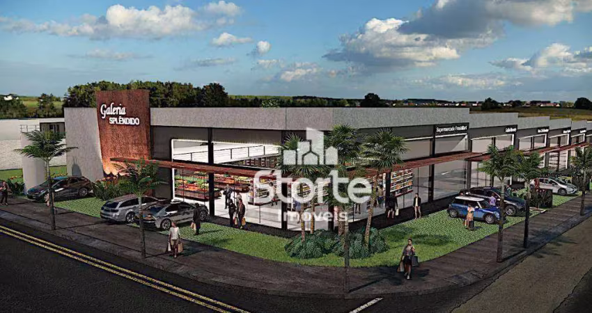Galpão à venda, 791,1m² por r$ 3.955.500 -  galeria splêndido (loteamento splêndido) - uberlândia/mg