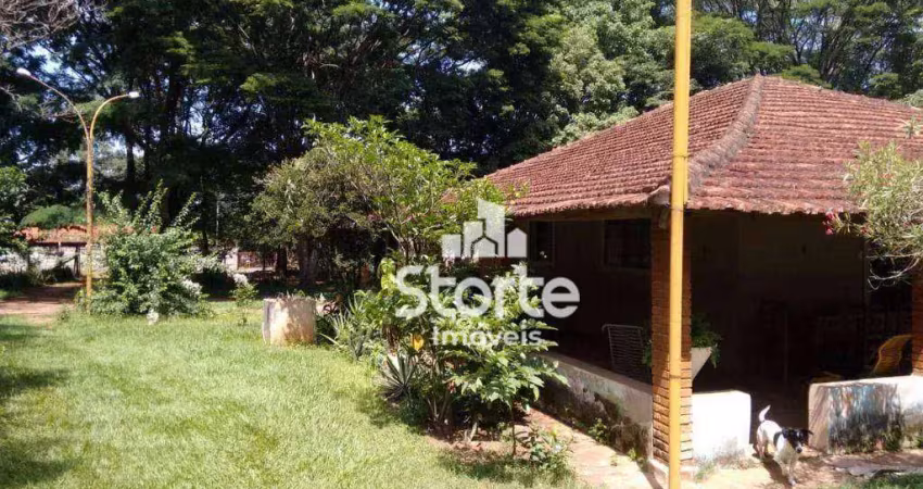 Chácara à venda, 10.000m² por r$ 1.580.000 - chácara panorama - uberlândia/mg