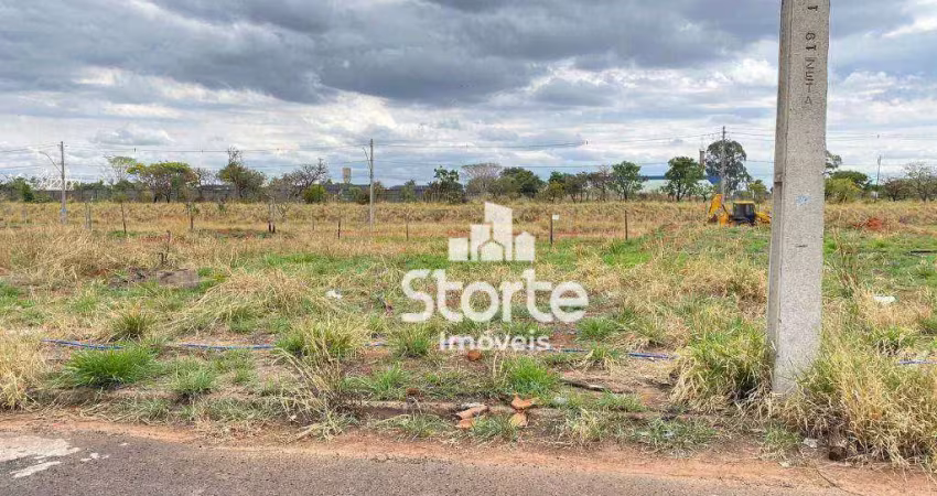 Terreno à venda, 300 m² por r$ 260.000,00 - vida nova - uberlândia/mg