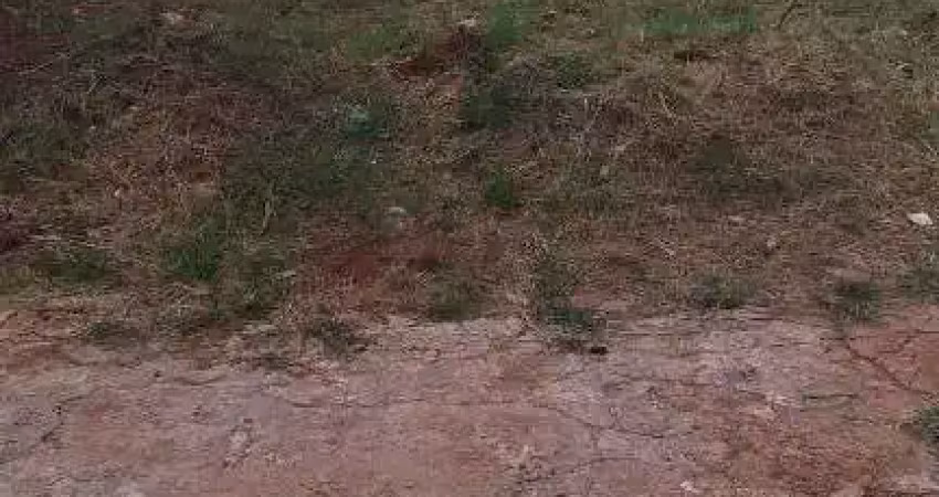 Terreno à venda, 420 m² por r$ 289.000,00 - custódio pereira - uberlândia/mg
