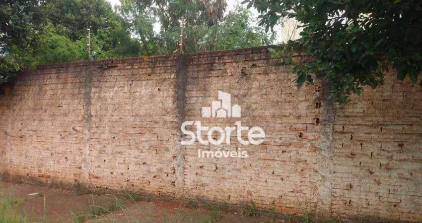 Área à venda, 600m² por r$ 850.000 - santa mônica - uberlândia/mg