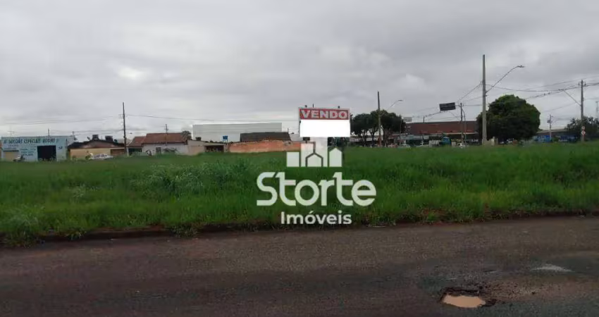 Área à venda, 3600 m² por r$ 5.200.000,00 - segismundo pereira - uberlândia/mg