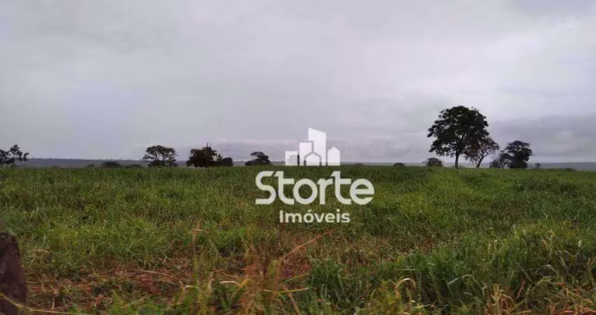 Fazenda de dupla aptidão formada na pecuária com 484 hectares (100 alqueires) por r$ 22.000.000 - município de carneirinho - mg