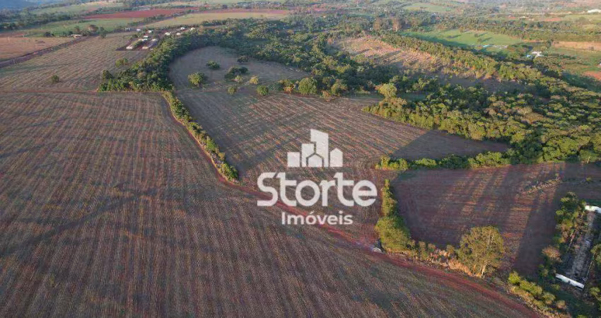 Fazenda à venda com 280 hectares (2.800.000m²) por r$ 280.000.000 - zona rural de uberlândia a 10min do parque do sabiá - mg