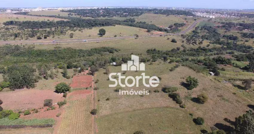 Chácara/área à venda, 32.500m² por r$ 2.200.000 - parque das andorinhas (parque dos marimbondos) - uberlândia/mg