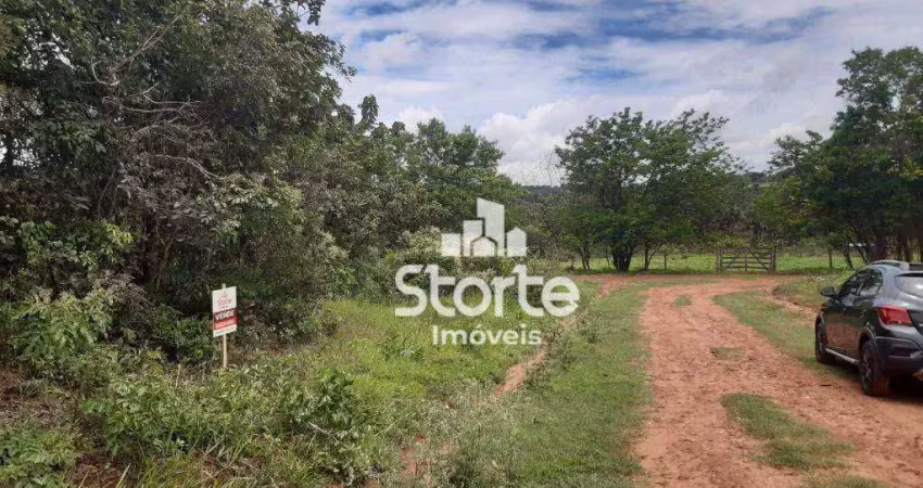 Terreno à venda, 1.000 m² por r$ 110.000 - morada nova - uberlândia/mg