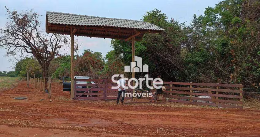 Chácara à venda, 2 hectares (20.000m²) por r$ 280.000 - uberlândia sentido araguari/indianópolis – mg