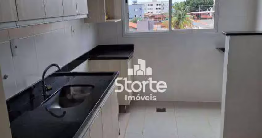 Apartamento com armários planejados de 2/4 à venda, 53,33m² por r$ 255.000 - alto santa mônica - uberlândia/mg