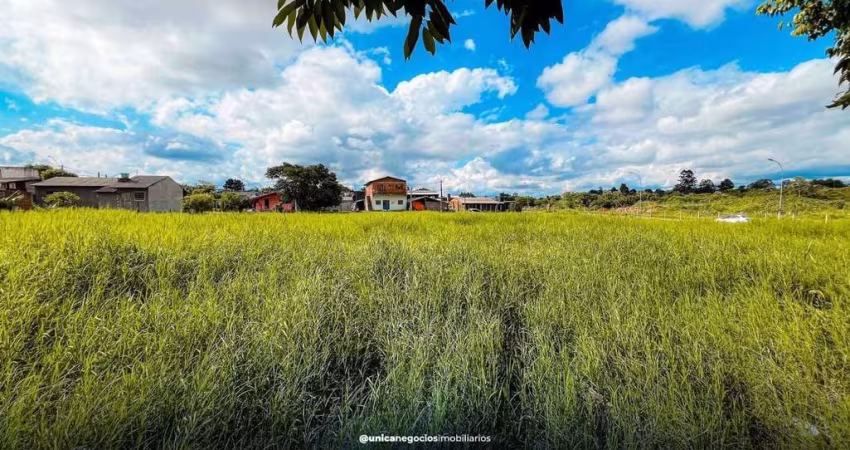 Lote/Terreno, São Jorge - Portão