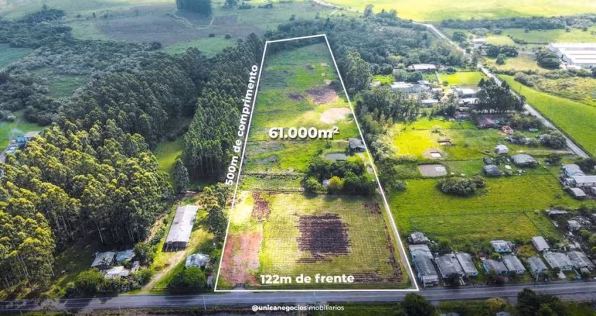 Área com 6 hectares, à venda no Bairro Socorro - Portão