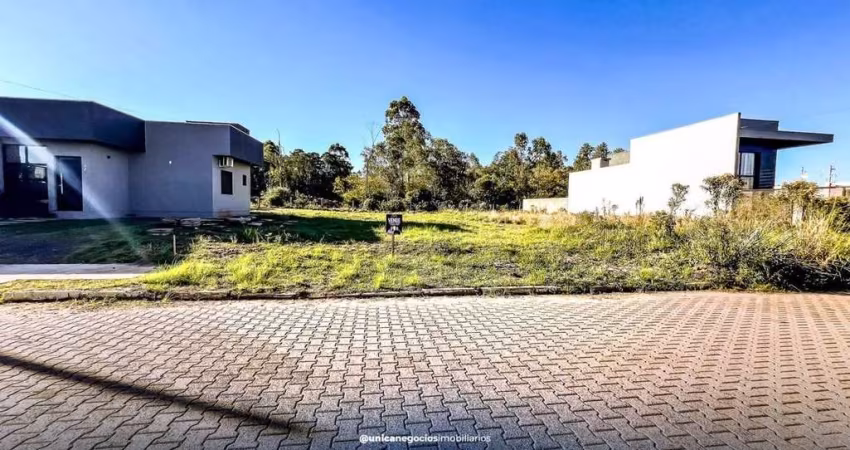 Lote/Terreno, Vila Rica - Portão