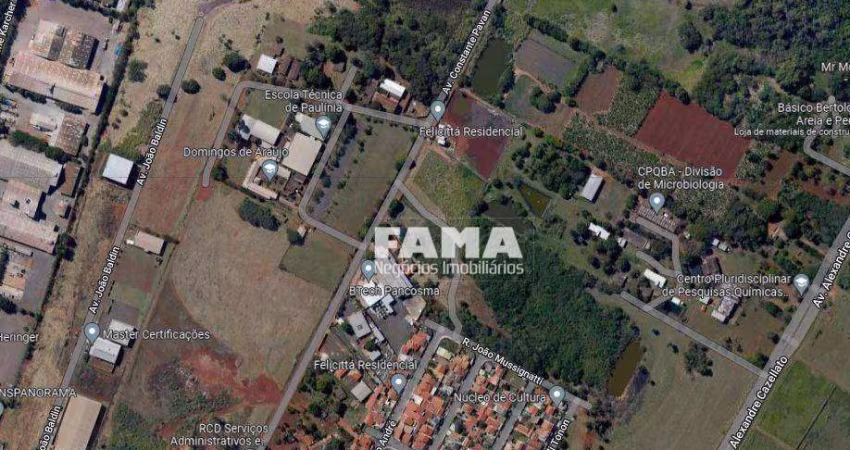 Terreno à venda, 3500 m² por R$ 1.900.000,00 - Betel - Paulínia/SP