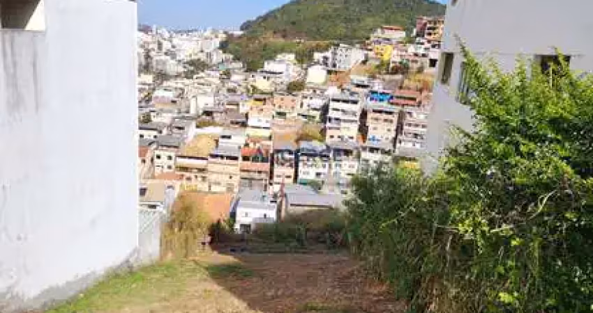 Terreno à venda na Rua Monsenhor Ferrer, Democrata, Juiz de Fora