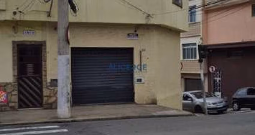 Loja - Paineiras