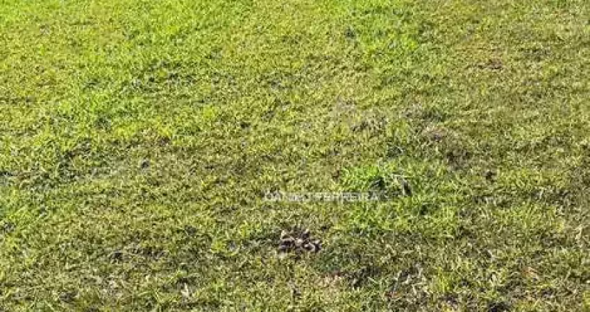 Terreno à venda, 1000 m² por r$ 370.000,00 - condomínio palmeiras imperiais - salto/sp