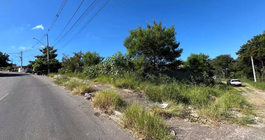 Terreno para Venda em Campinas, Cidade Satélite Íris